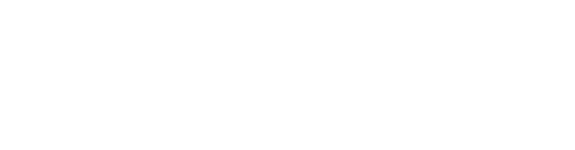 NewSouth Window Solutions